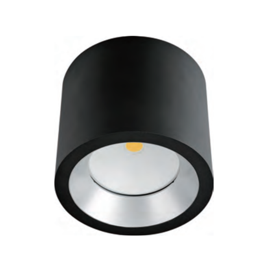 Barwon Downlight Surface Mounted IP65